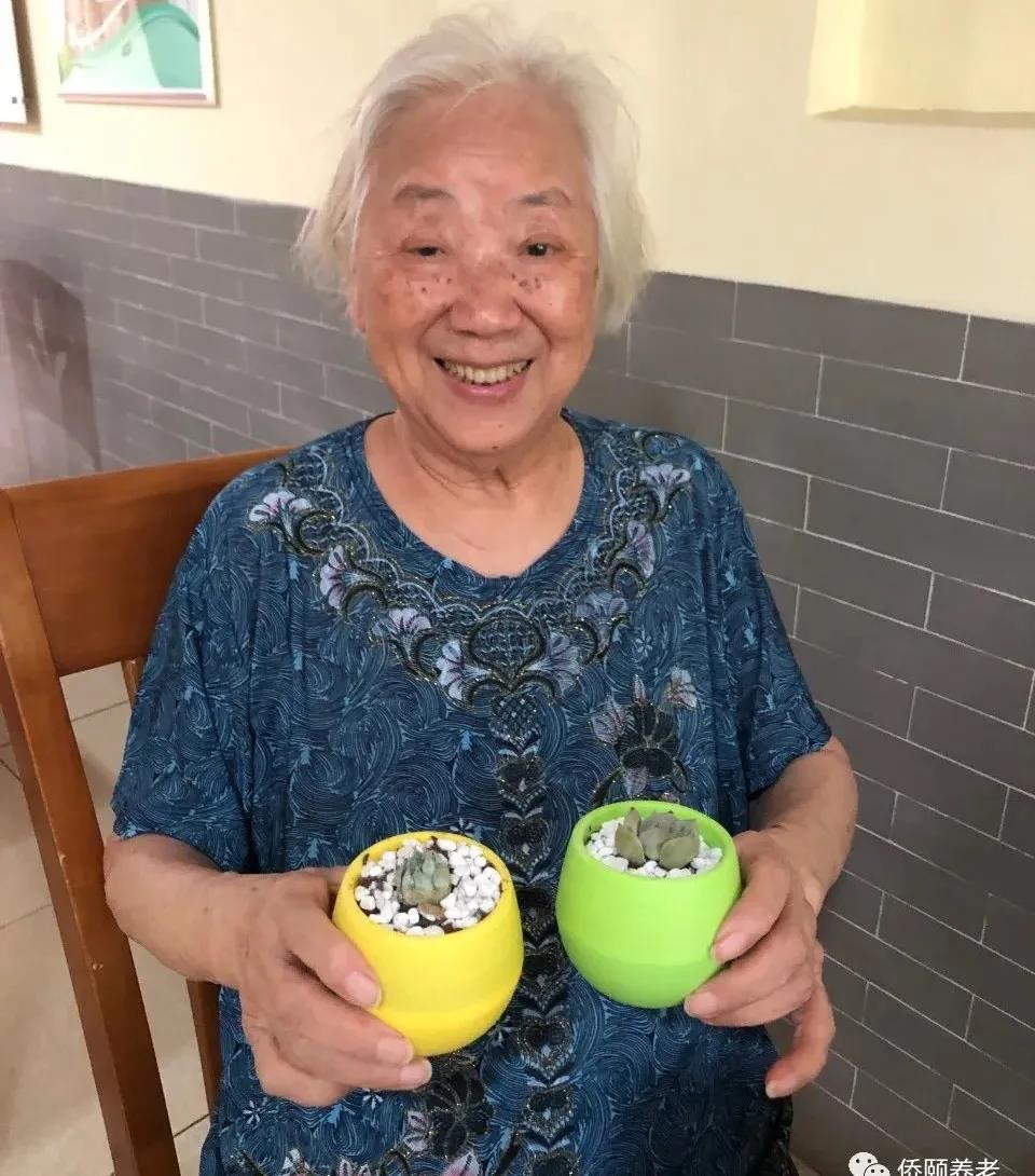 侨颐养老生活 | 有“园”相聚，快乐种植(图1)