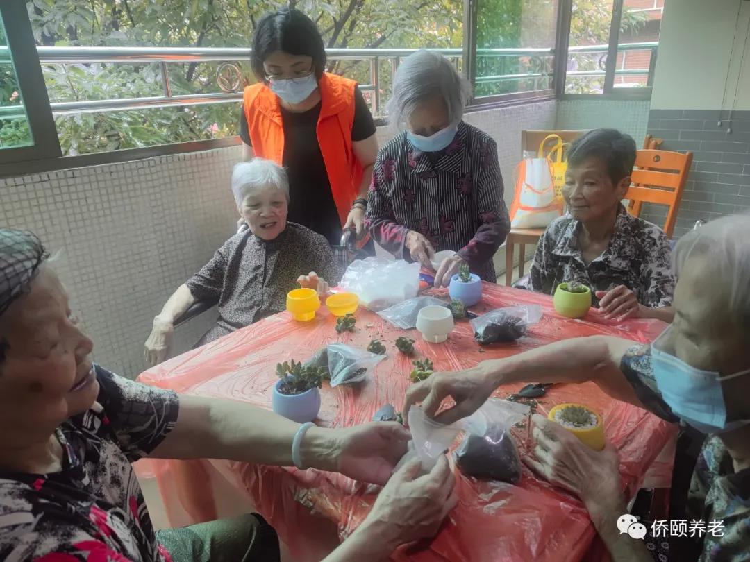 侨颐养老生活 | 有“园”相聚，快乐种植(图2)