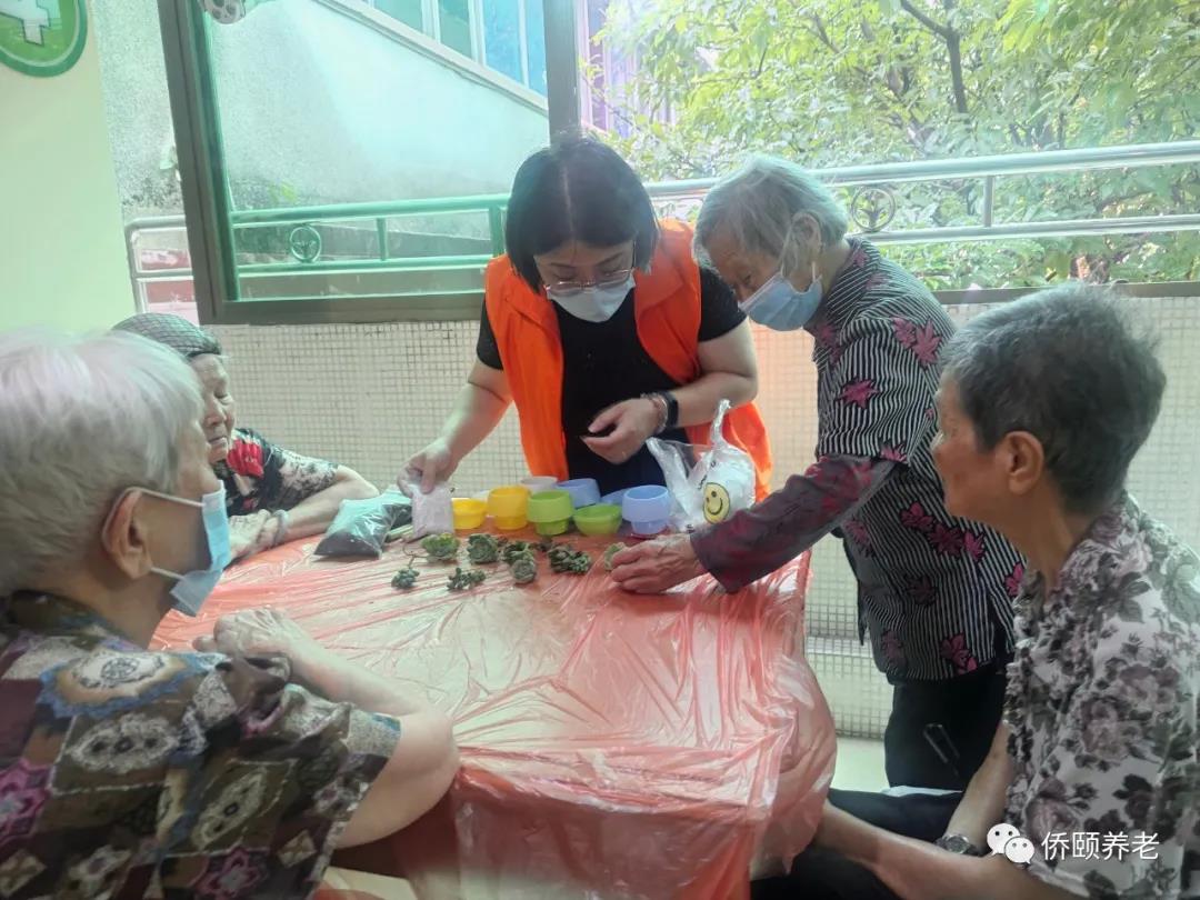 侨颐养老生活 | 有“园”相聚，快乐种植(图3)