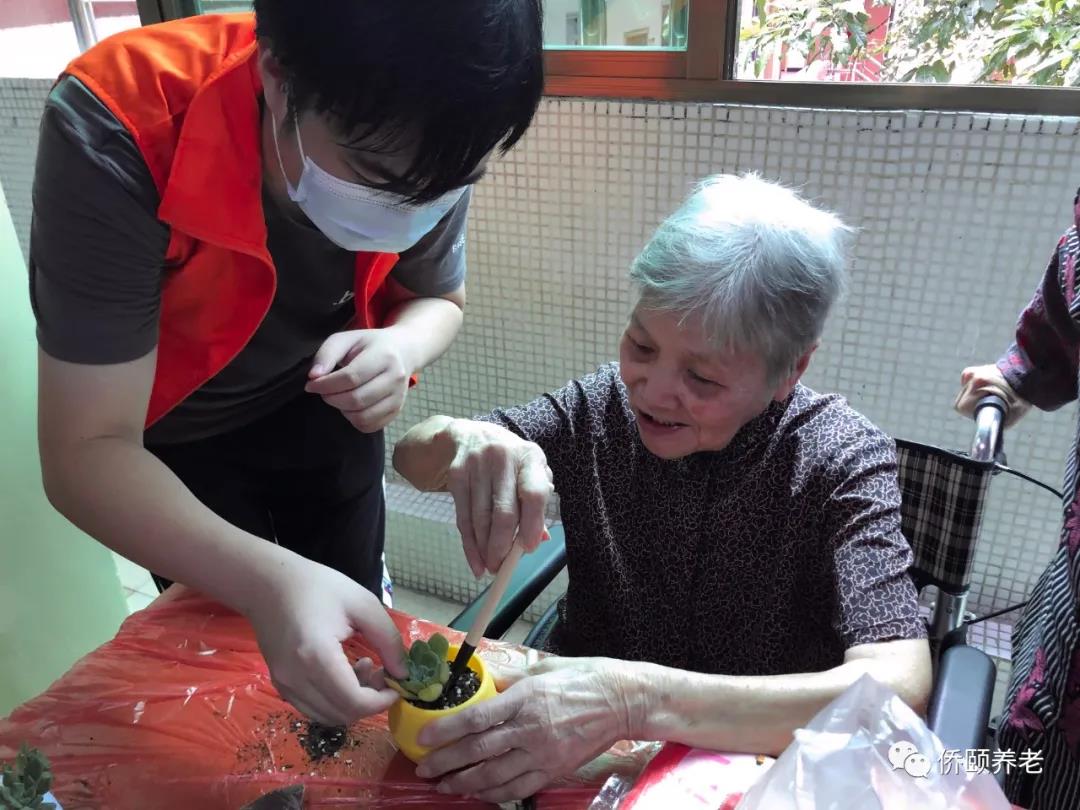 侨颐养老生活 | 有“园”相聚，快乐种植(图4)